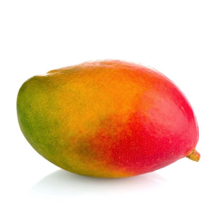 Mangue